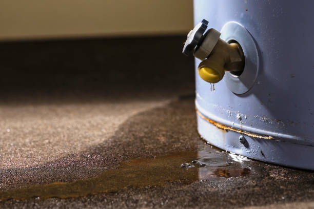 Best Fire Damage Restoration  in Inwood, NY