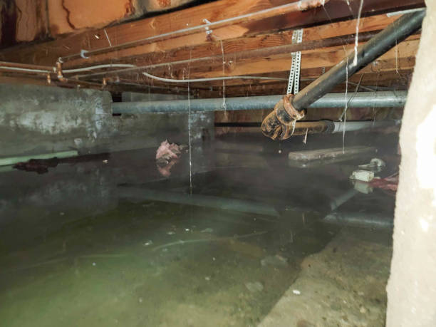 Best 24/7 water damage repair  in Inwood, NY
