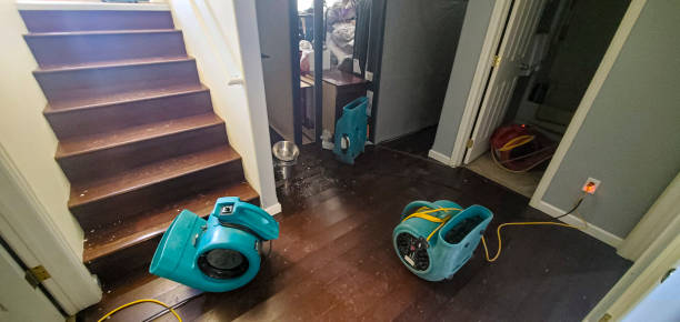 Best Fire Damage Restoration  in Inwood, NY