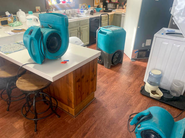 Best Professional water damage repair  in Inwood, NY