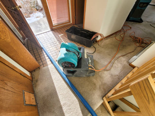 Best Water damage contractors near me  in Inwood, NY