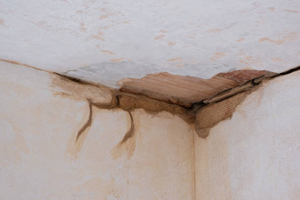  Inwood, NY Water damage restoration Pros