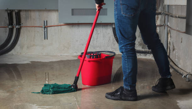 Best Water damage restoration near me  in Inwood, NY