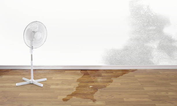 Best Professional water damage repair  in Inwood, NY