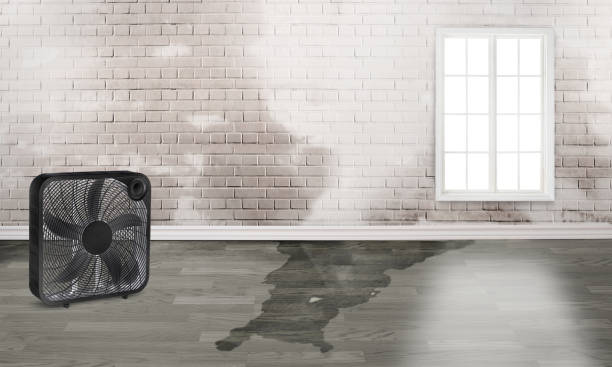 Best Flood restoration services  in Inwood, NY