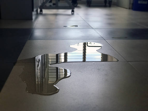 Best Water damage restoration near me  in Inwood, NY