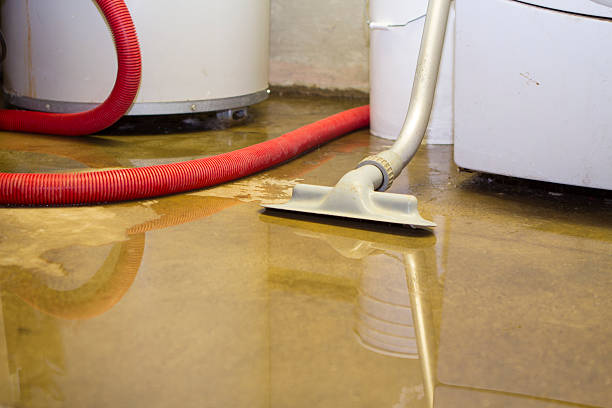 Best Residential water damage restoration  in Inwood, NY