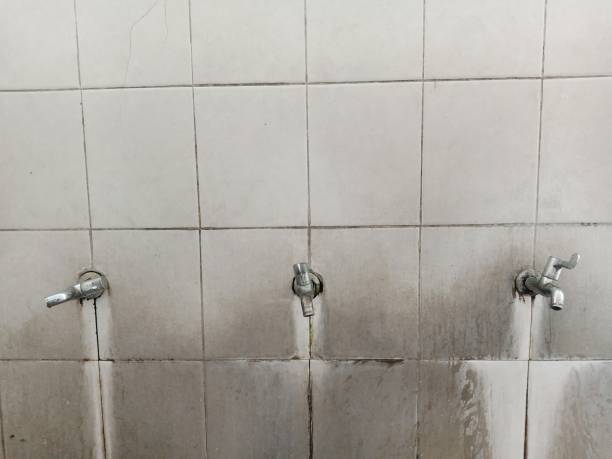 Best Carpet water damage restoration  in Inwood, NY