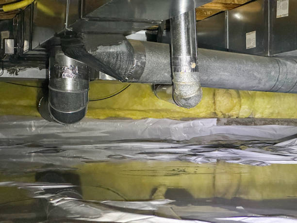 Best Mold removal after water damage  in Inwood, NY