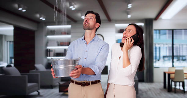 Best Flood damage cleanup  in Inwood, NY